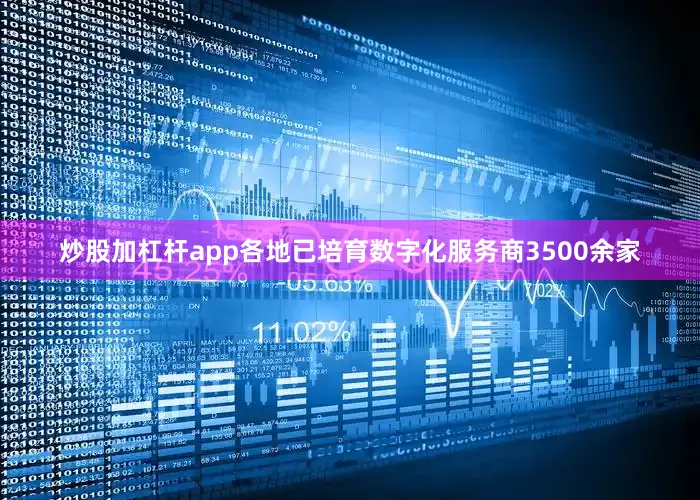 炒股加杠杆app各地已培育数字化服务商3500余家