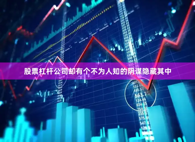 股票杠杆公司却有个不为人知的阴谋隐藏其中