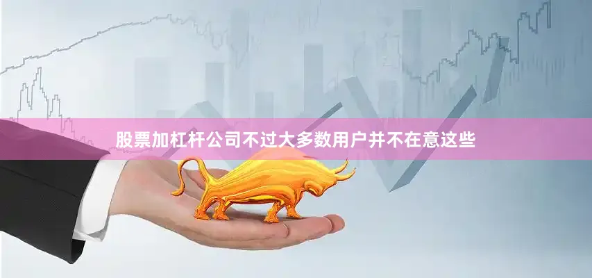 股票加杠杆公司不过大多数用户并不在意这些